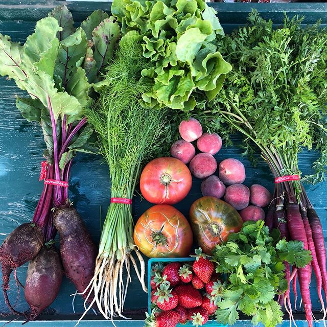 Community Supported Agriculture – The Abundant Table